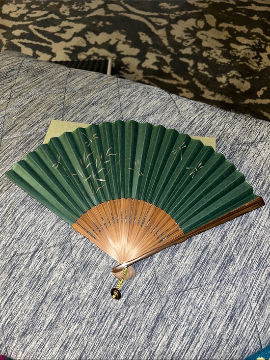 maisendo Accessories - NWT Maisendo Kyoto Japan Bamboo folding hand fan 🪭
